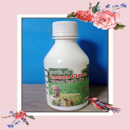 Natural Insects Clean